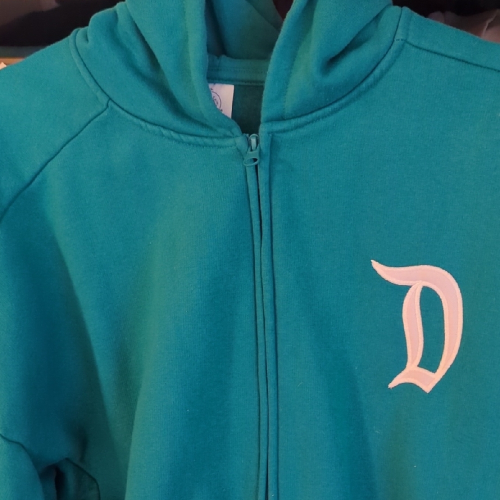 Disneyland Castle Teal Hoodie, L